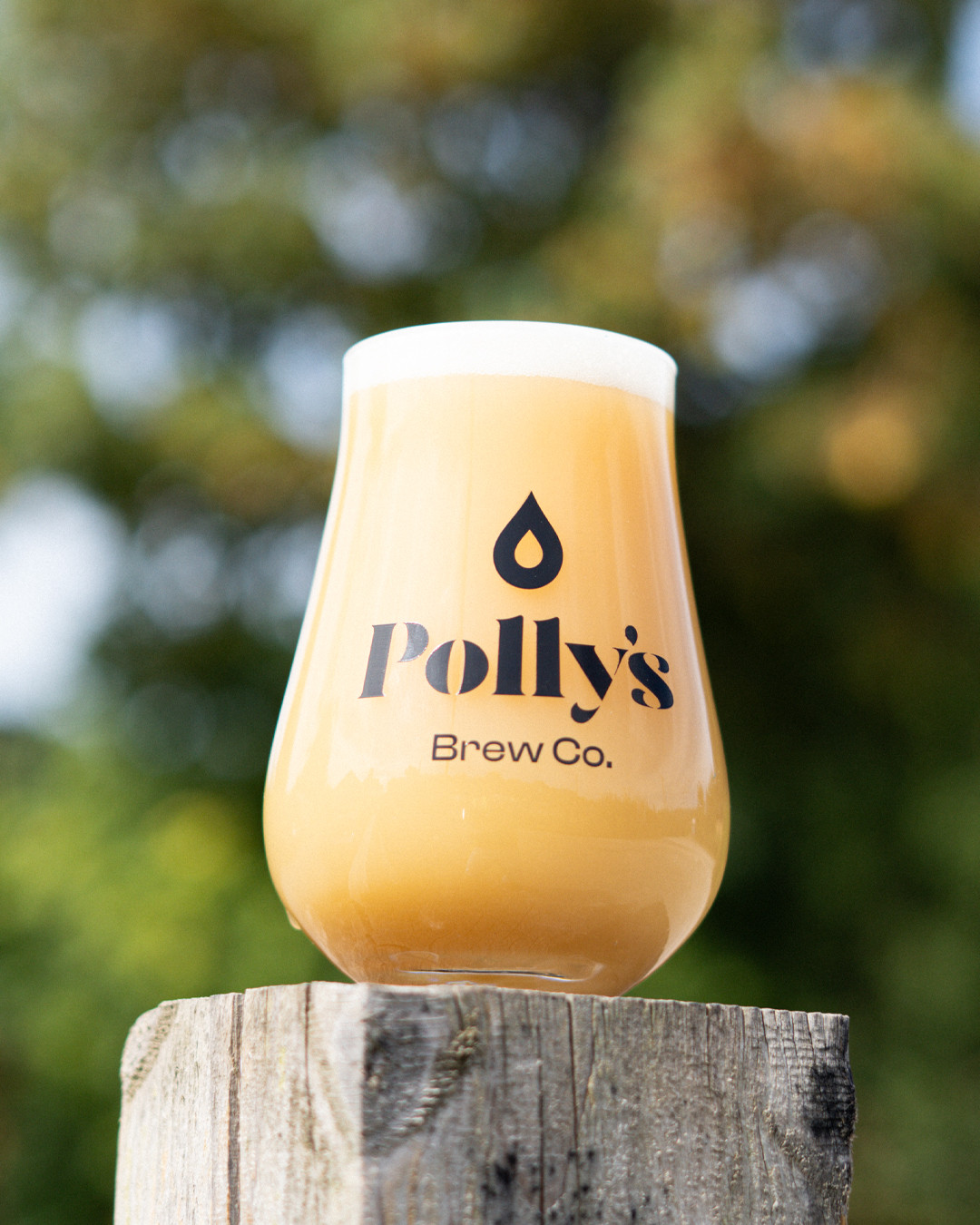 Polly's Brew Co. Rosa Double IPA 8.4% Lattina Luppolata