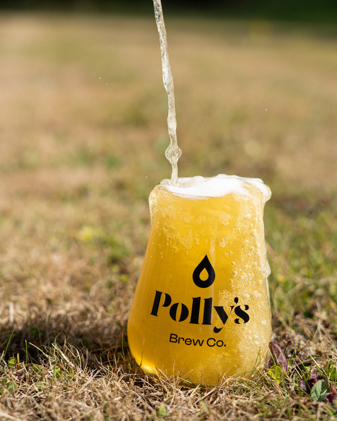 Polly's Brew Co. Colour Static pale ale 4,5% fresca