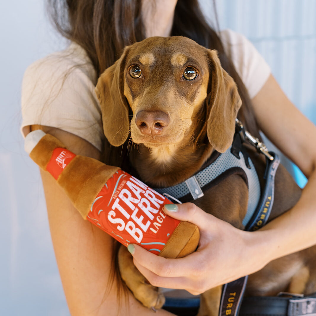 Abita Strawberry Bottle peluche per cani bottiglia