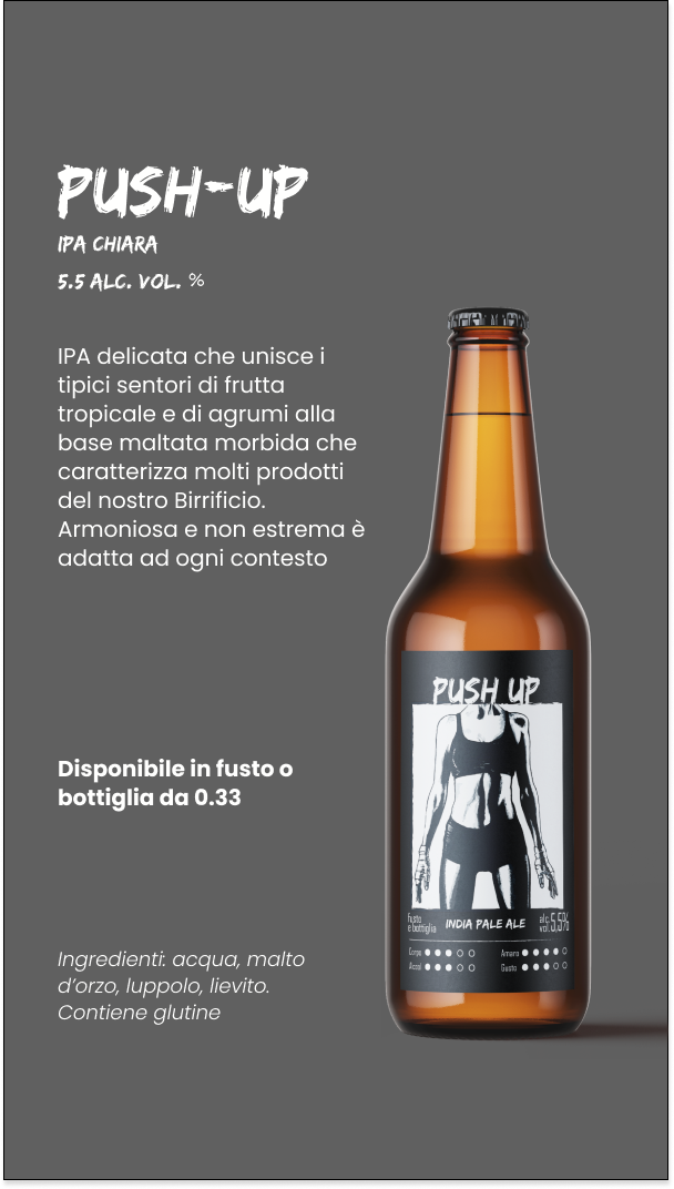 Nuovo Birrificio Nicese Roulette box birre 12 bottiglie assortite