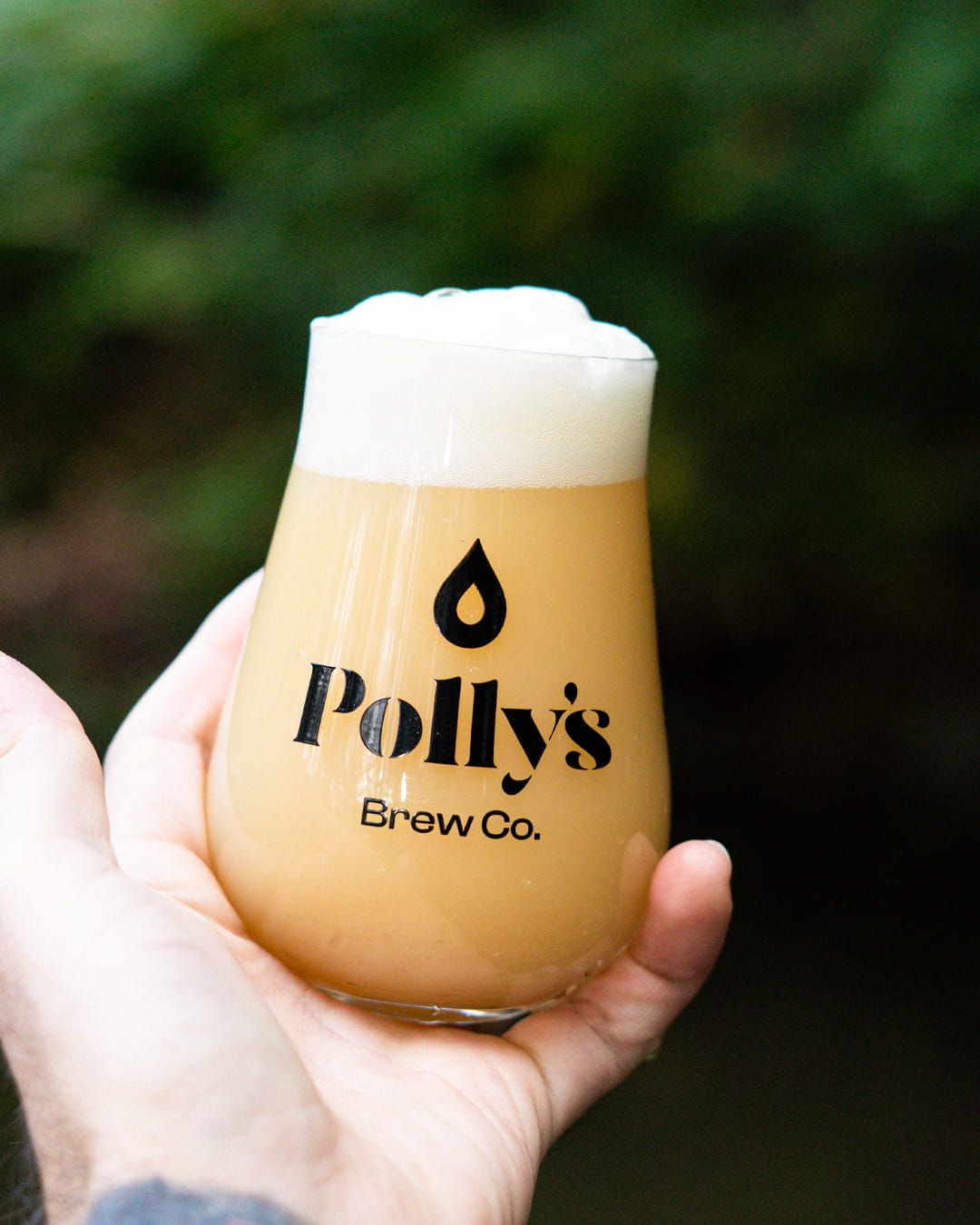 Polly's Brew Co. Big Galaxy IPA birra 6,5%