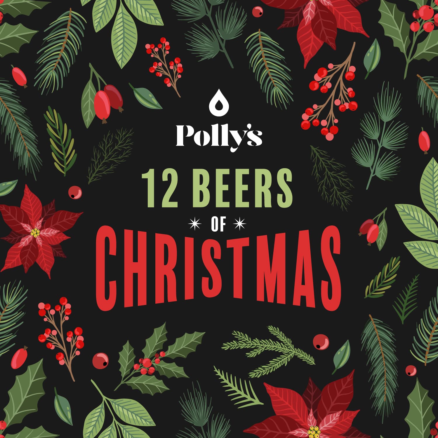 Polly's 12 Beers of Christmas box 12 birre assortite