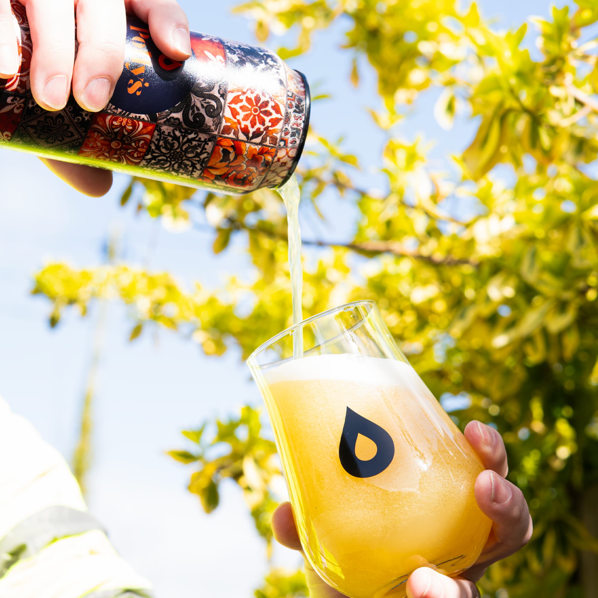 Polly's Patternist IPA birra mango e ananas 6,6%