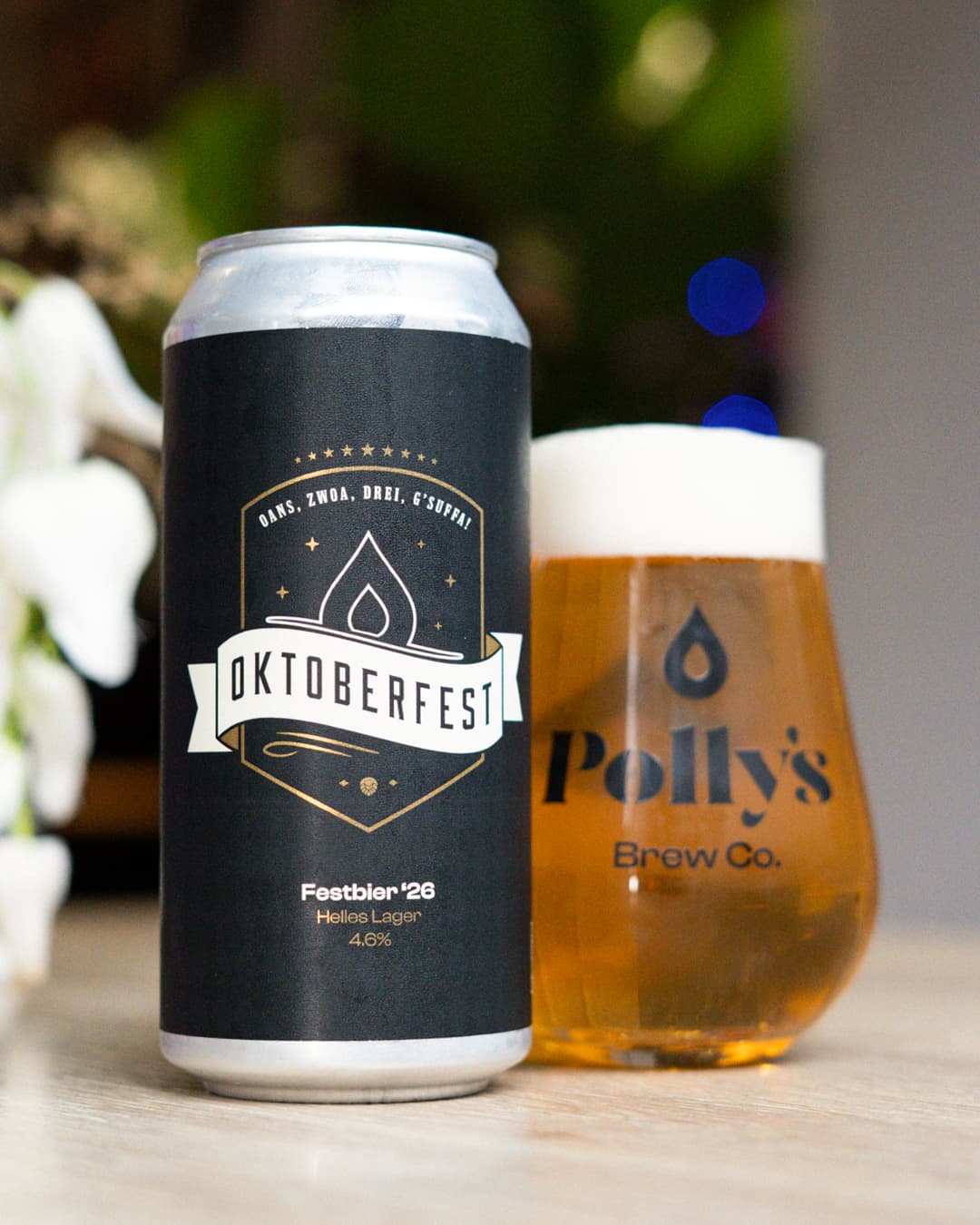 Polly's Brew Co. Festbier 26 Helles Lager 4.6% Chiara