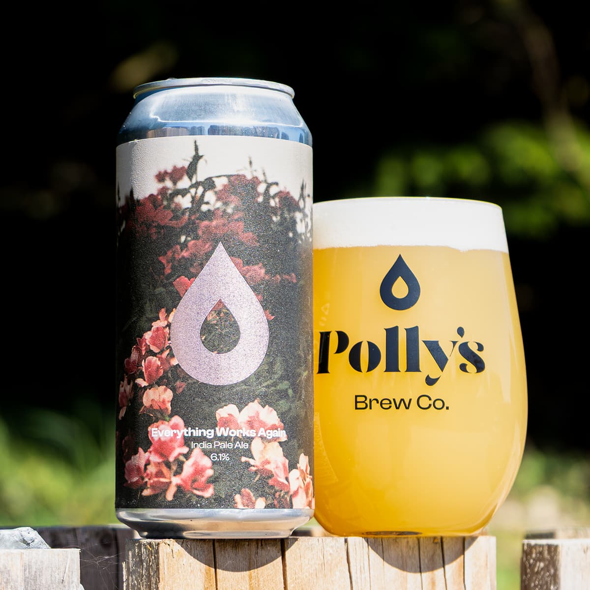 Polly's Brew Co. Everything Works Again birra IPA 6,1%