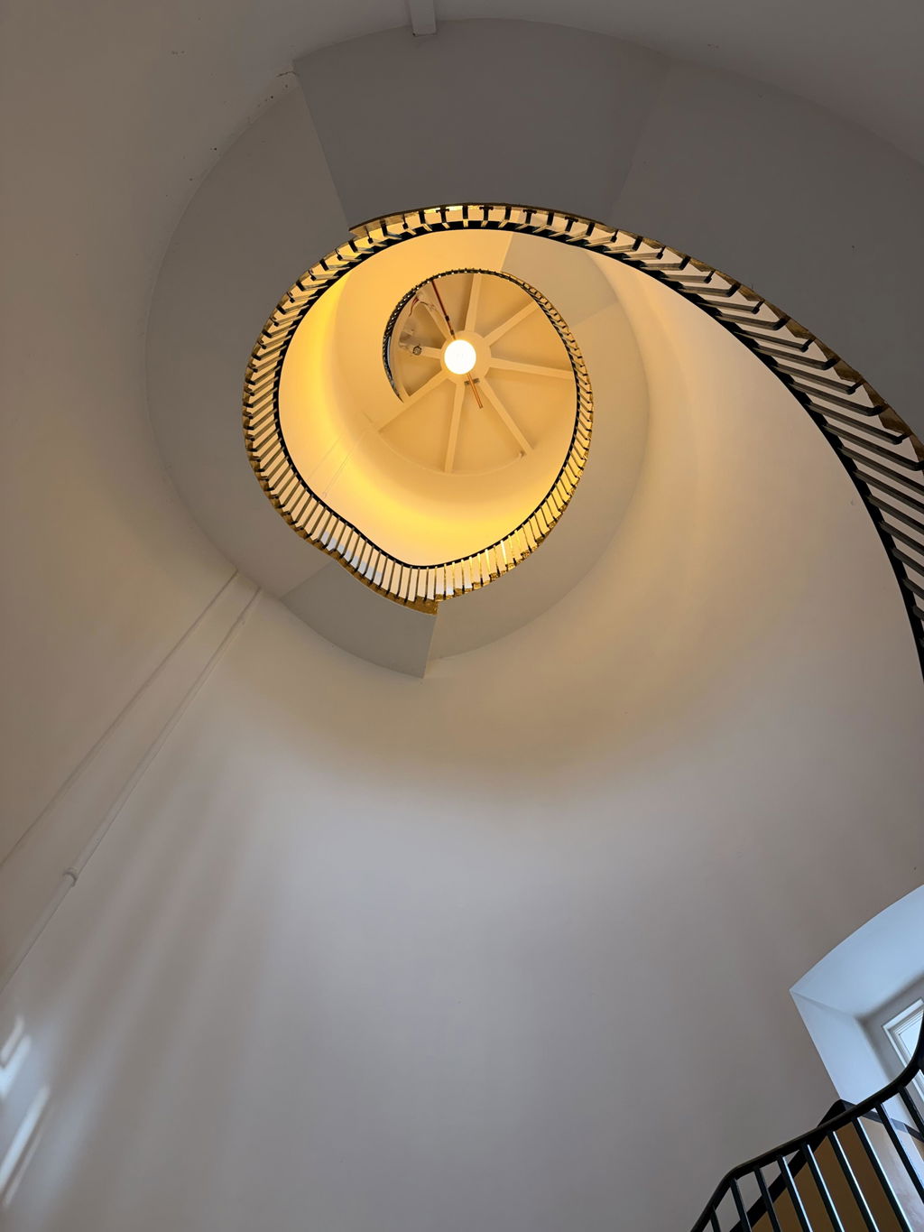 Adnams Lighthouse Tour visita faro adulto 60 min