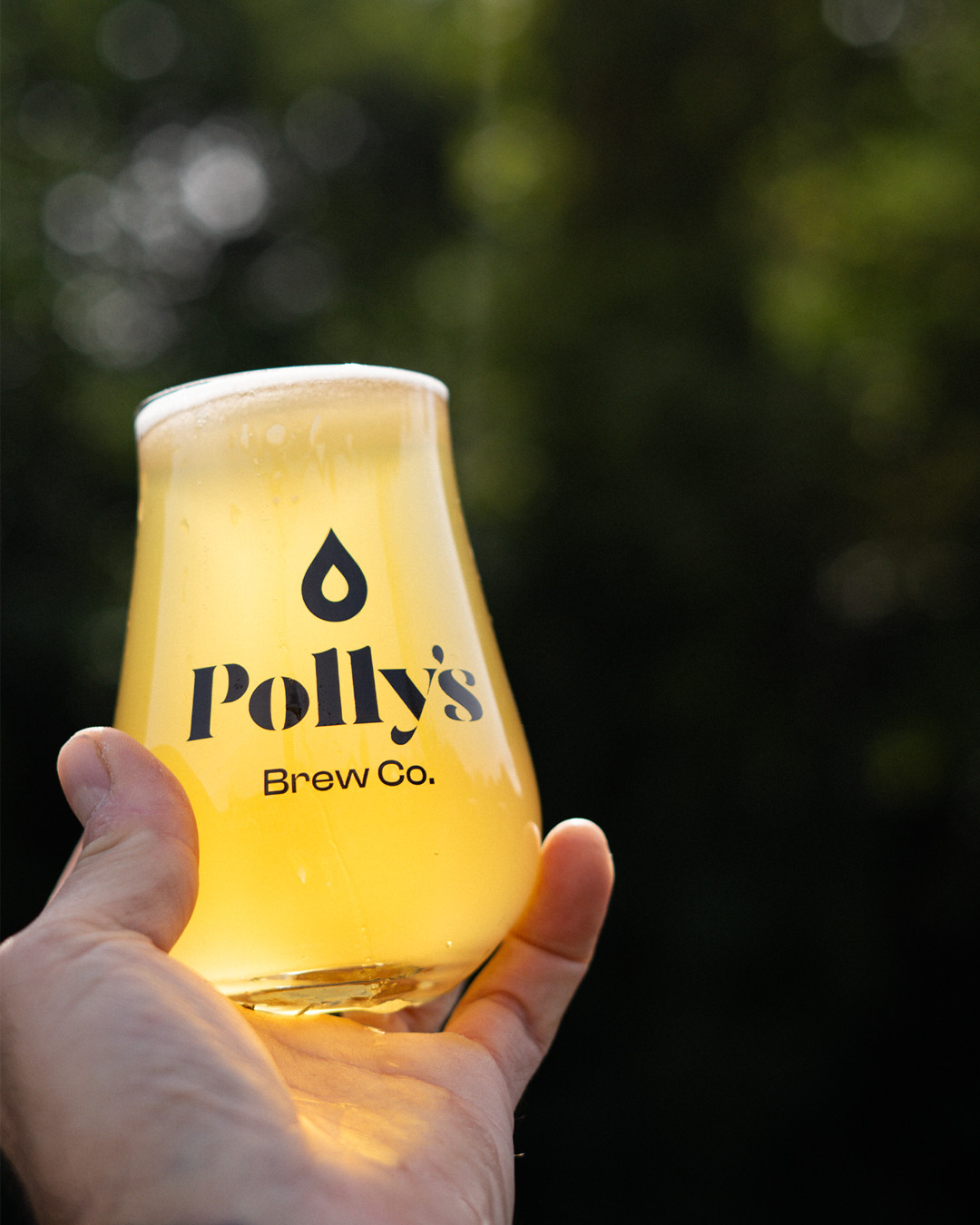 Polly's Brew Co. Colour Static pale ale 4,5% fresca