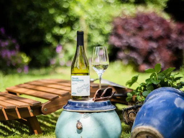 Adnams Classic Domaine Bellevue Sauvignon Blanc vino bianco 75cl