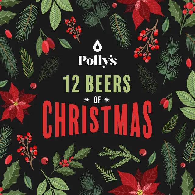 Polly's 12 Beers of Christmas box 12 birre assortite