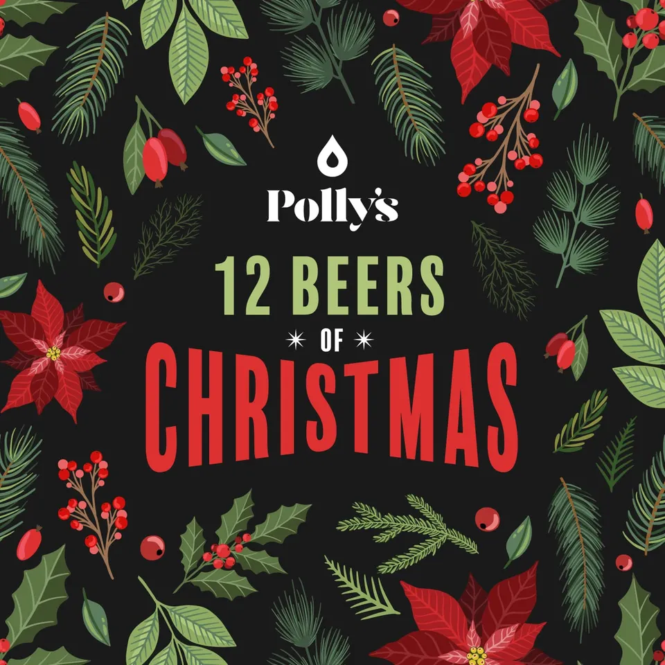 Polly's 12 Beers of Christmas box 12 birre assortite