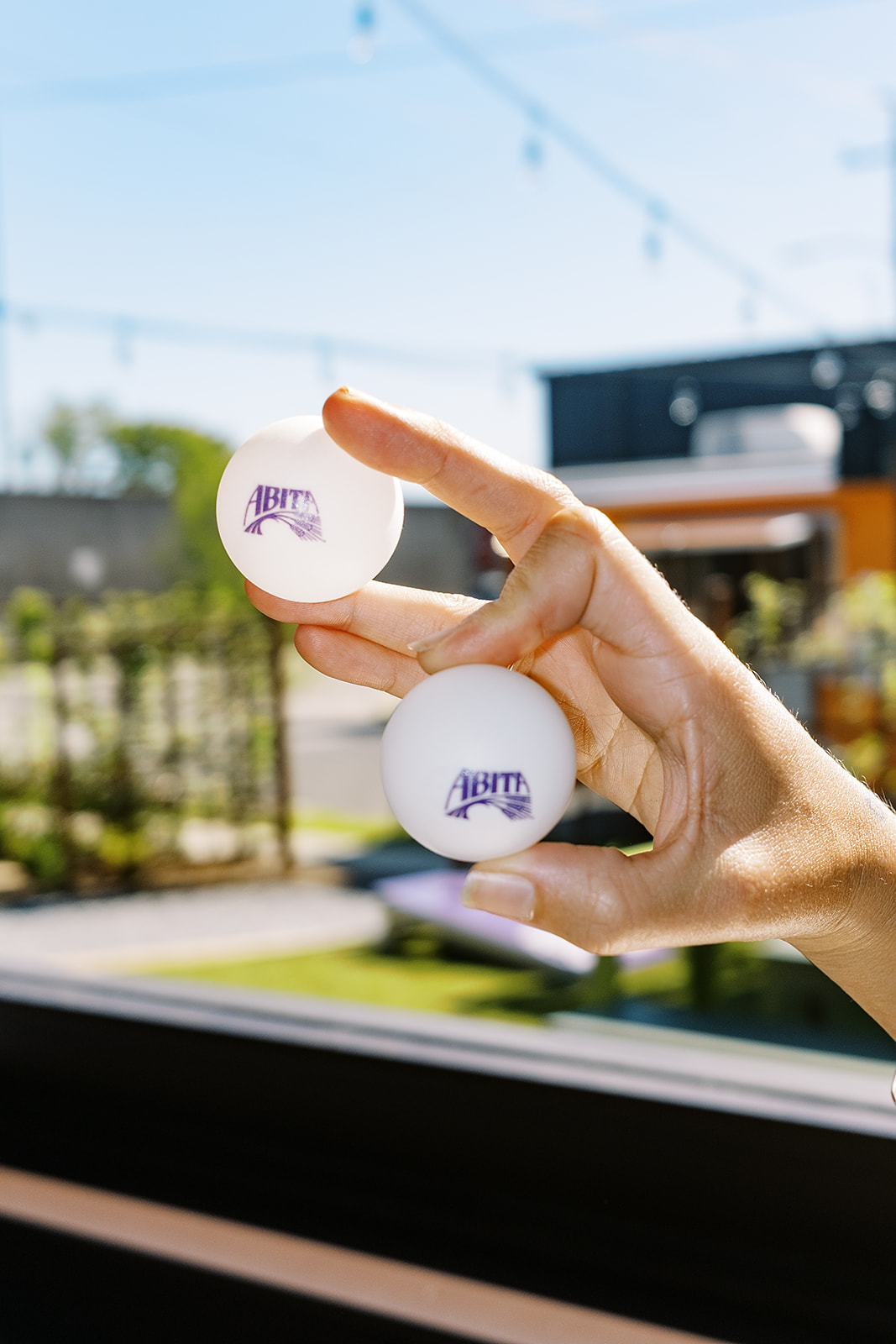 Abita Ping Pong Balls palline da gioco