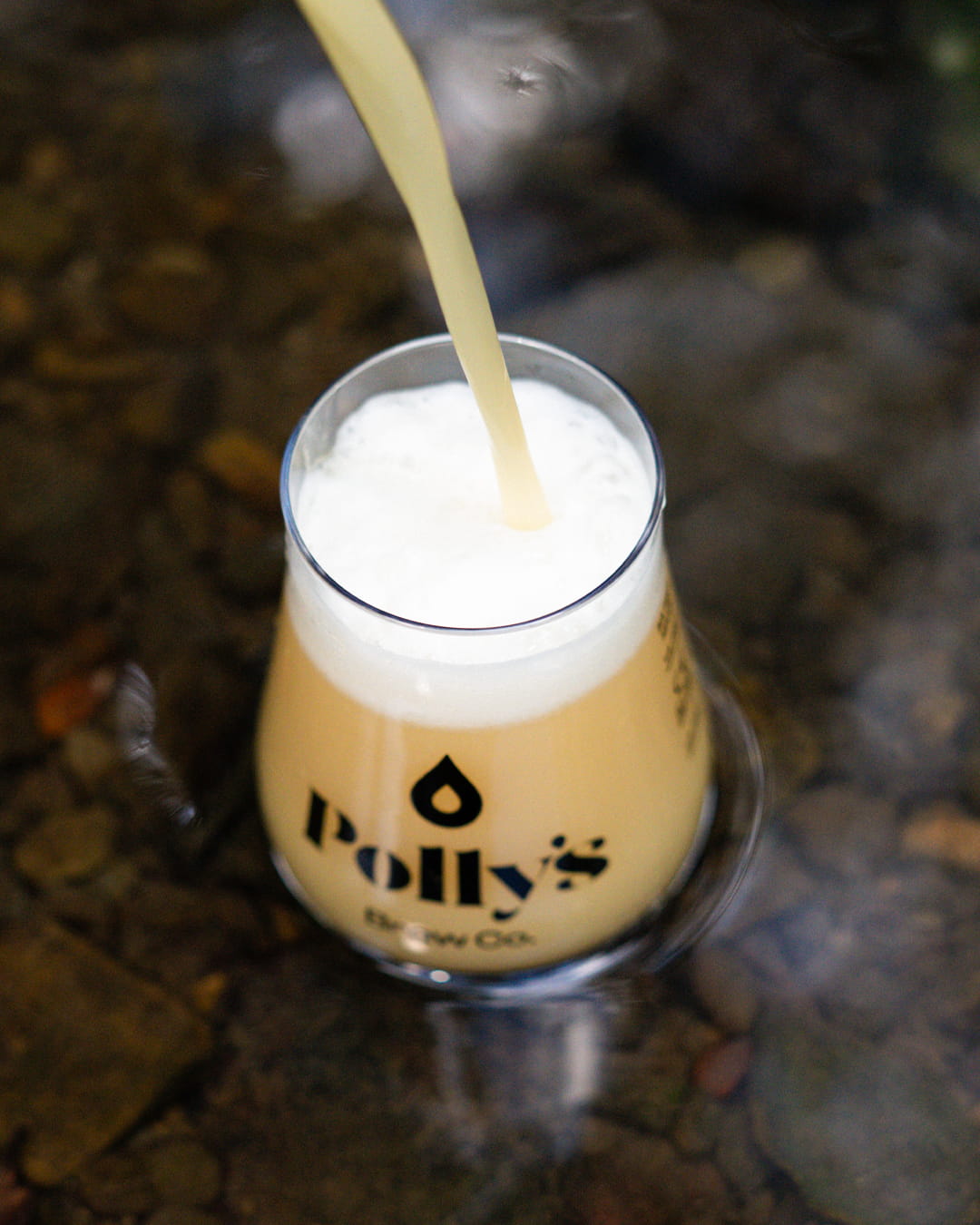 Polly's Brew Co. Big Galaxy IPA birra 6,5%