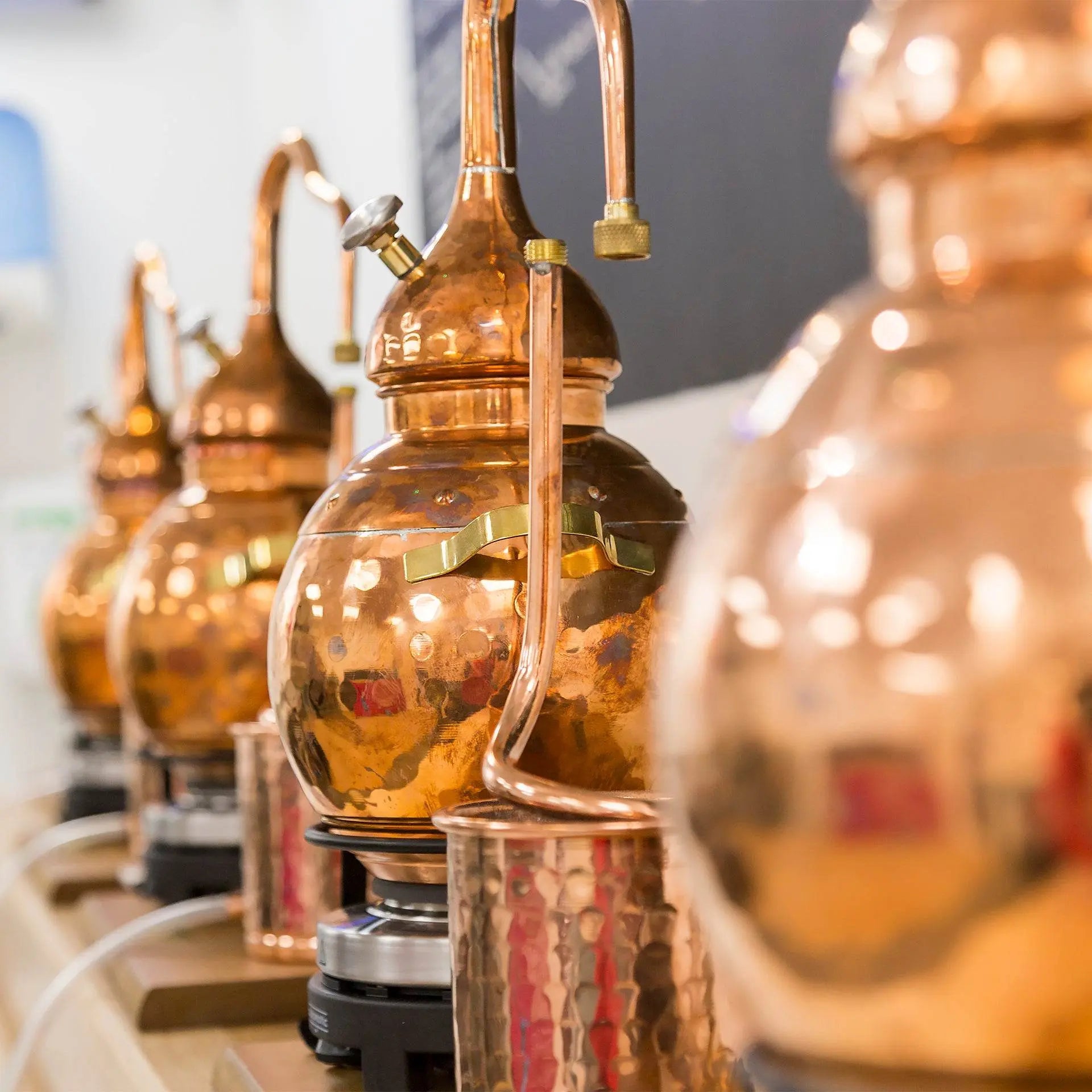 Adnams Make Your Own Gin buono regalo adulto