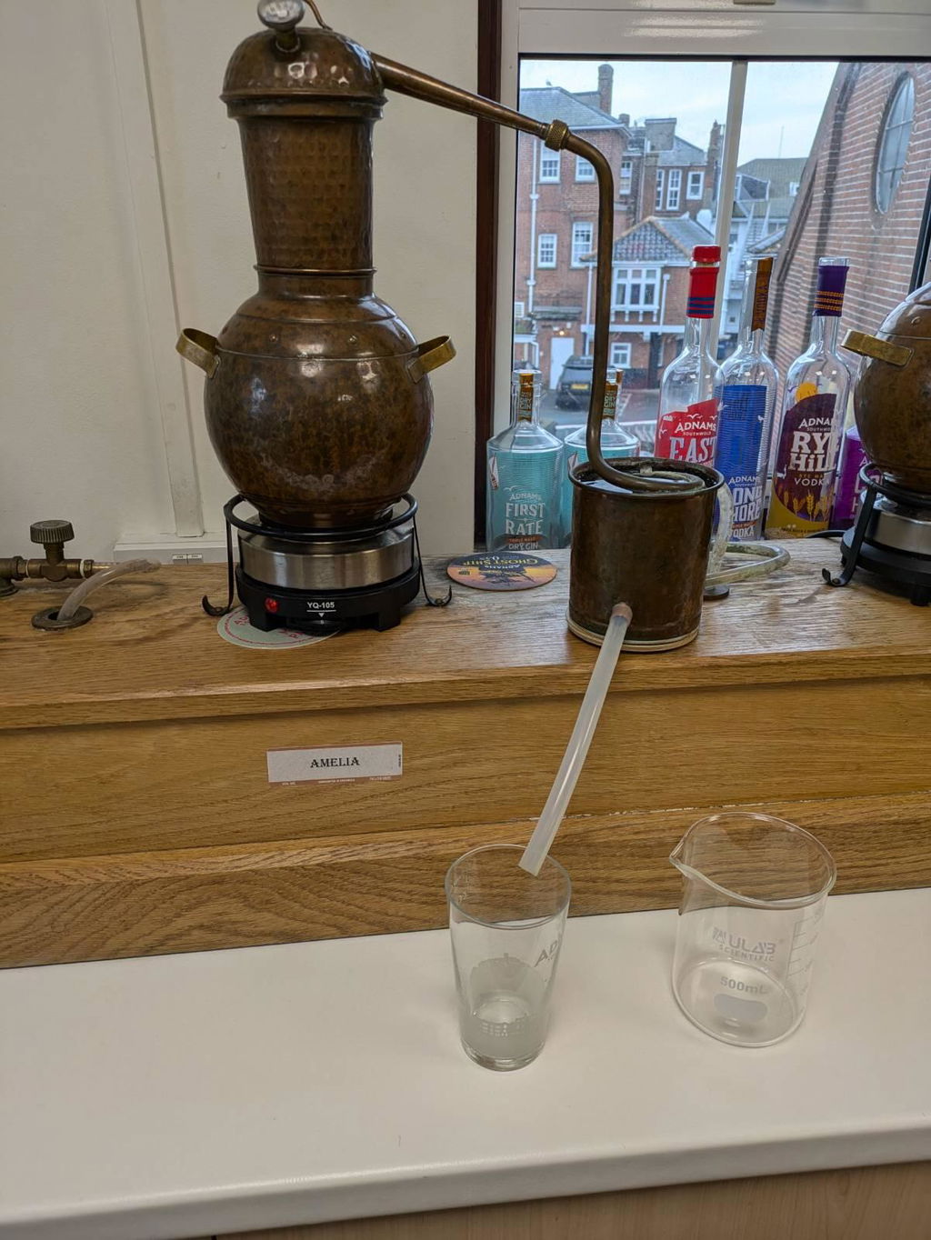 Adnams Make Your Own Gin buono regalo adulto