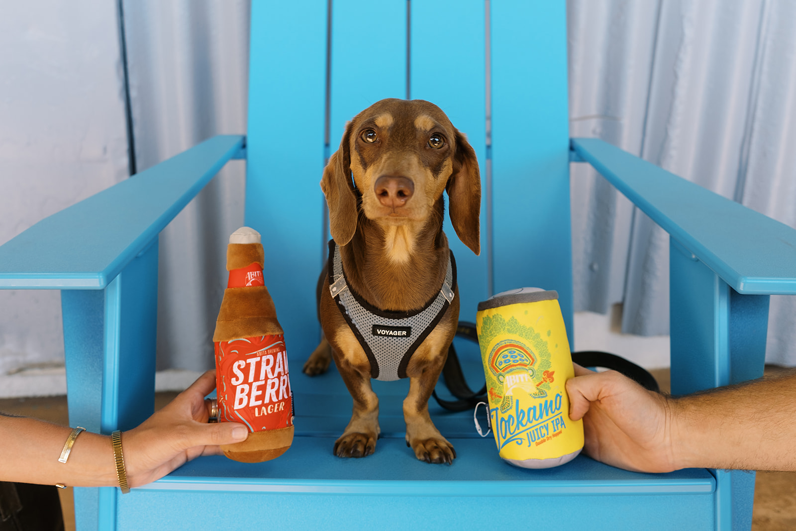 Abita Strawberry Bottle peluche per cani bottiglia