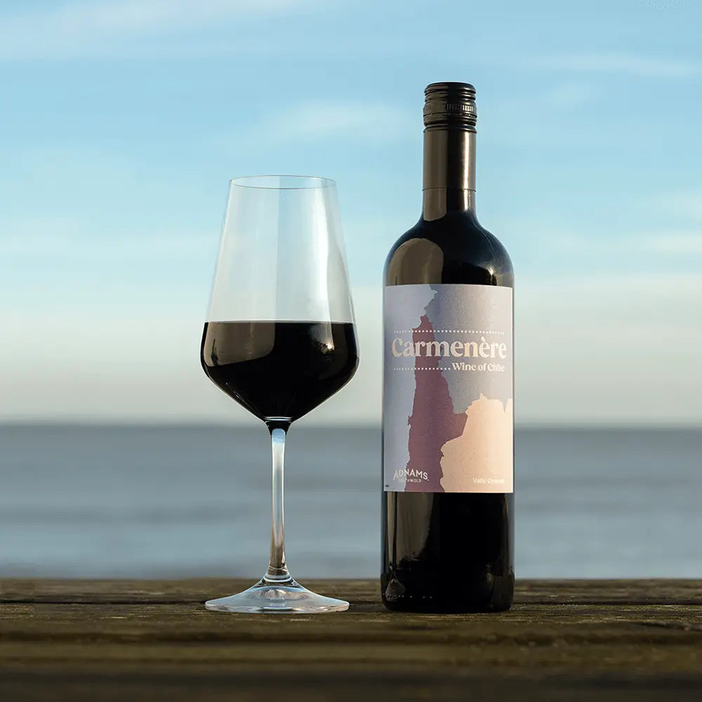 Adnams Carmenère Central Valley vino rosso 75cl 2021