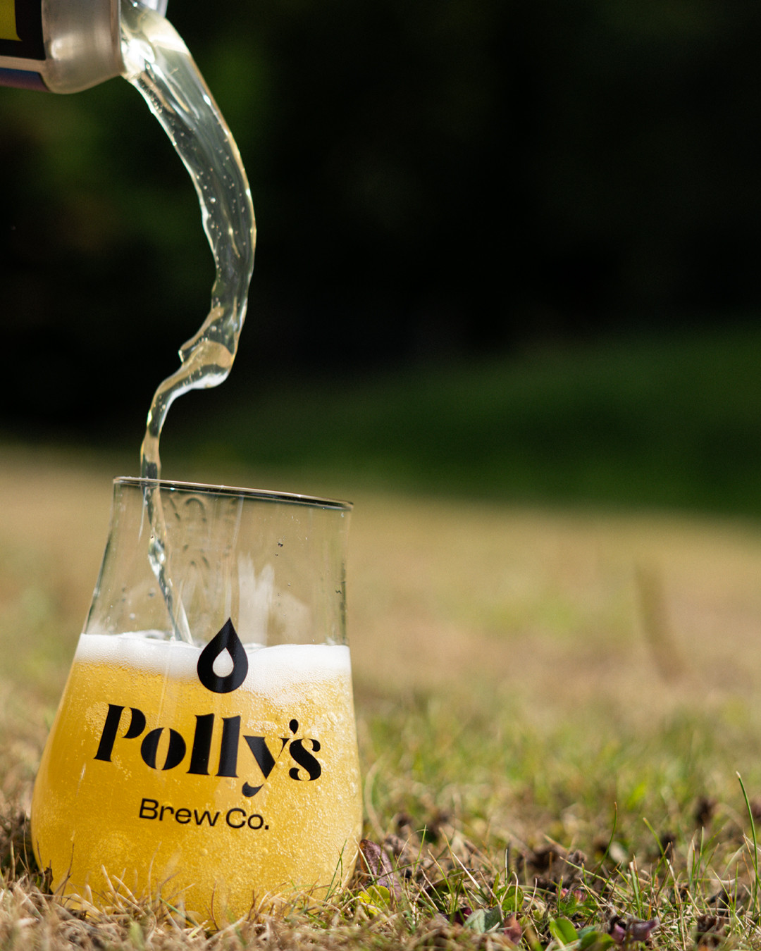 Polly's Brew Co. Colour Static pale ale 4,5% fresca
