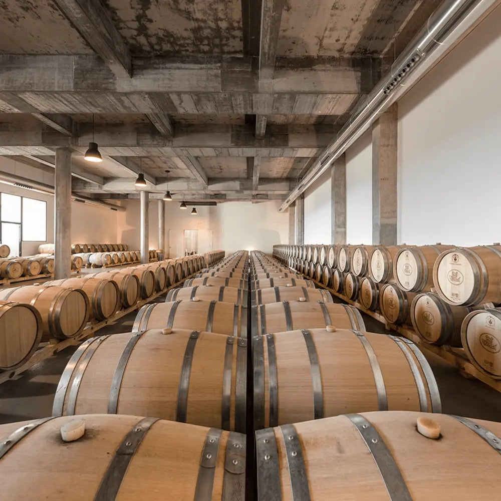 Quinta Vista Red vino rosso Portogallo 2019 75cl speziato