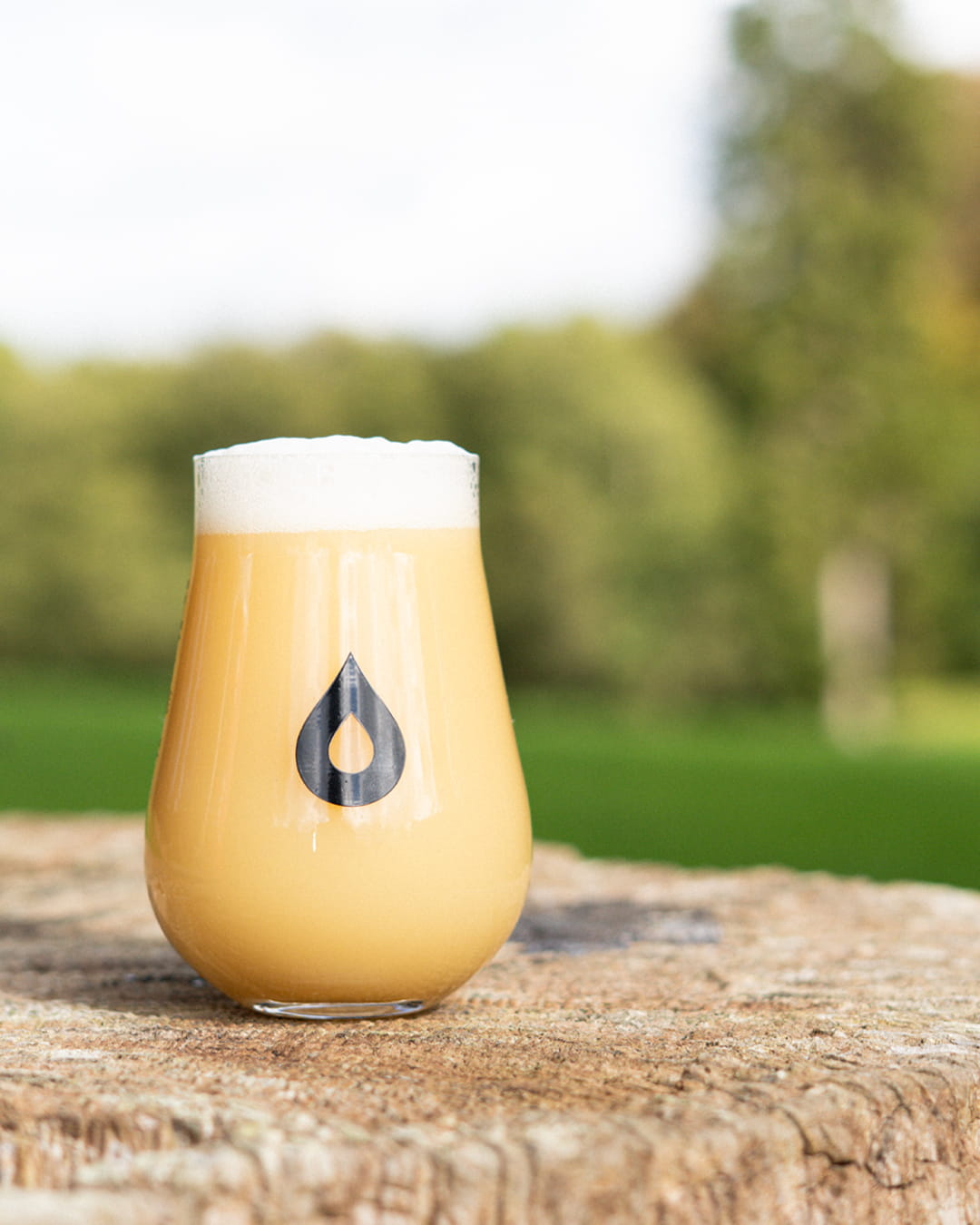 Polly's Brew Co. Starting Over pale ale 5,1% hazy