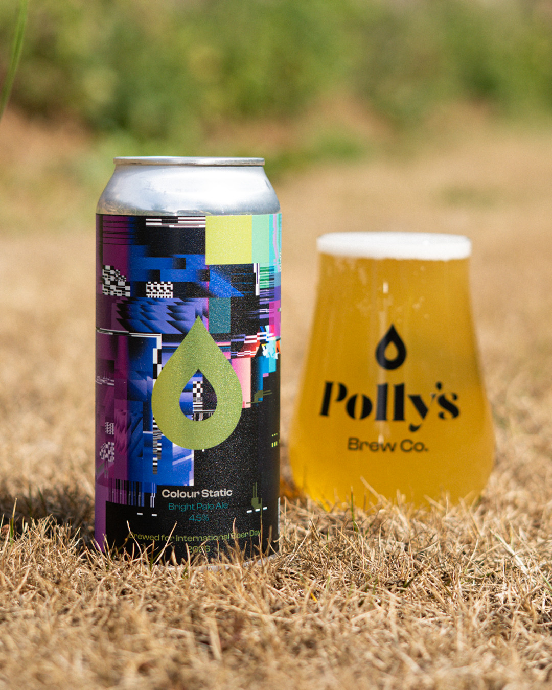 Polly's Brew Co. Colour Static pale ale 4,5% fresca