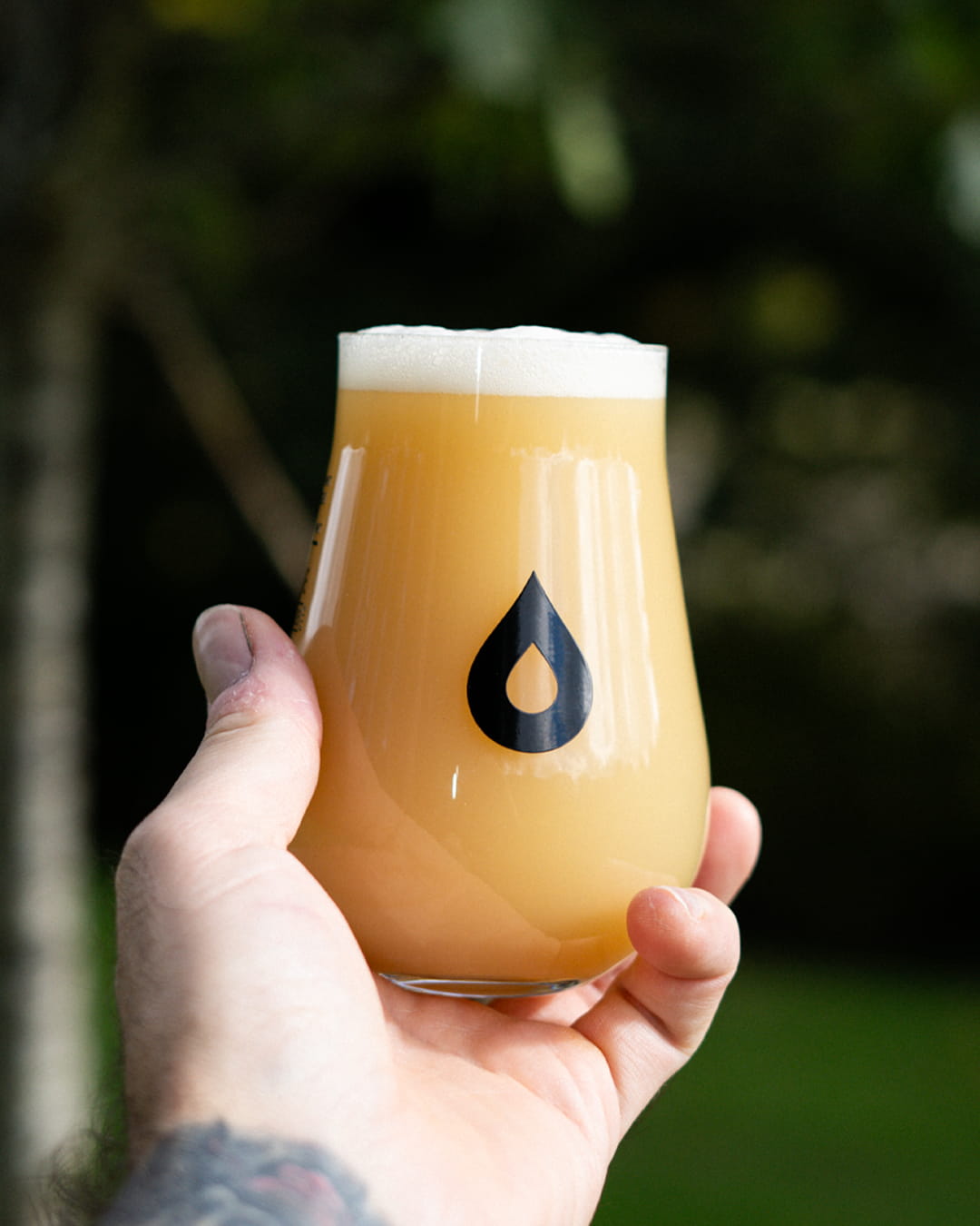 Polly's Brew Co. Starting Over pale ale 5,1% hazy