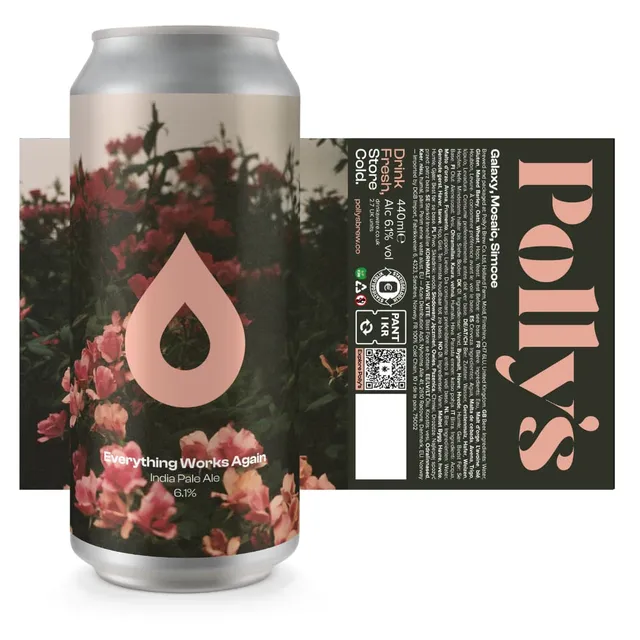 Polly's Brew Co. Everything Works Again birra IPA 6,1%