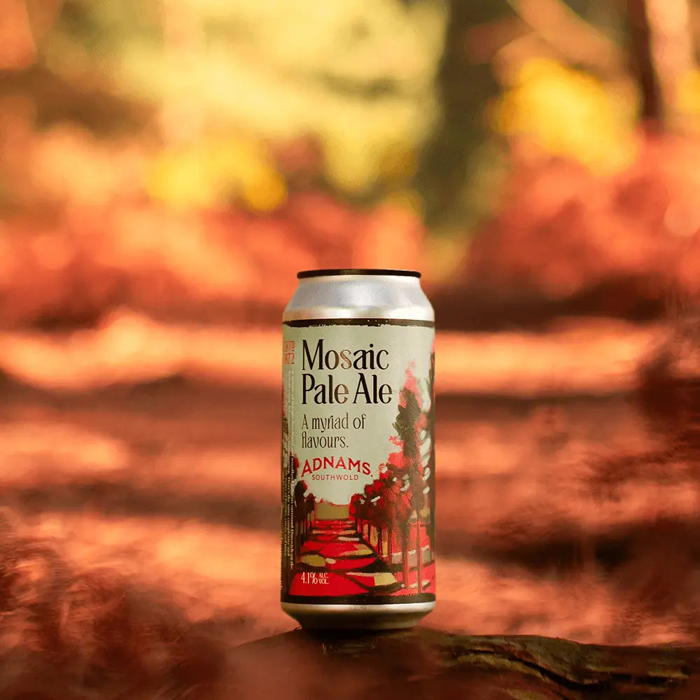 Adnams Mosaic Pale Ale birra 440ml luppolata