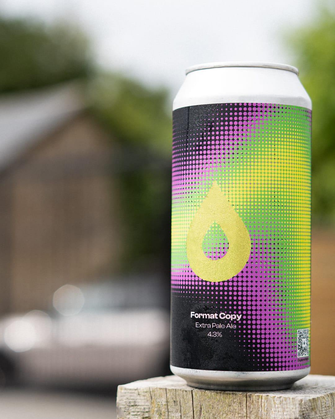 Polly's Brew Co. Format Copy Extra Pale Ale 4.3% Agrumata